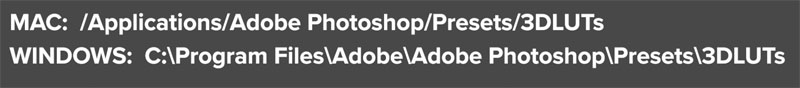Photoshop LUT ở đâu trên máy tính của tôi?