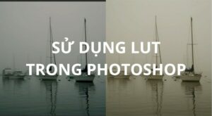 Sử dụng LUT trong Photoshop