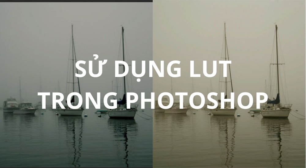 Sử dụng LUT trong Photoshop