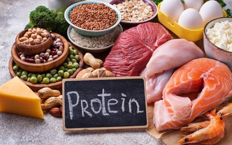 Protein trong bữa ăn - món ăn cho bà bầu