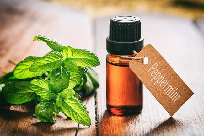 Bảo quản tinh dầu ở nhiệt độ phòng cần đảm bảo sự cân bằng về nhiệt độ