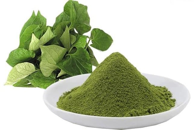 cung cấp bột diếp cá nguyên chất