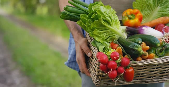 Các loại nguyên liệu mỹ phẩm từ rau củ quả phù hợp với đại đa số người tiêu dùng.