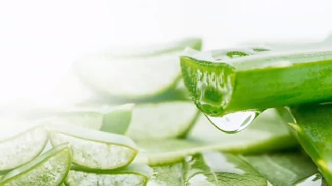 Nha Đam chứa nhiều loại khoáng chất và vitamin tự nhiên tốt cho da