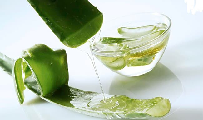 Gel Nha Đam tại Labcos được chiết từ 98% Nha Đam tươi