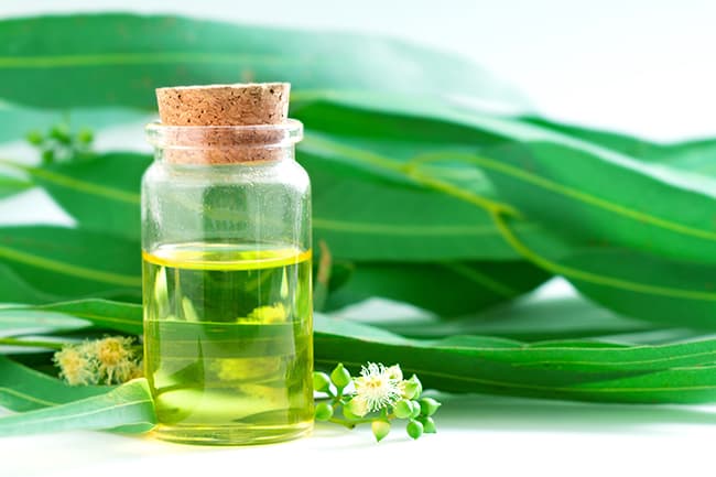 Labcos phát triển thành dạng sản phẩm công thức như xịt khoáng, toner, serum có chiết xuất từ các tinh chất thiên nhiên