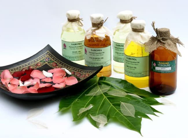 Chiết xuất là phương pháp tách chiết các hoạt chất sinh học ra khỏi mô thực vật.