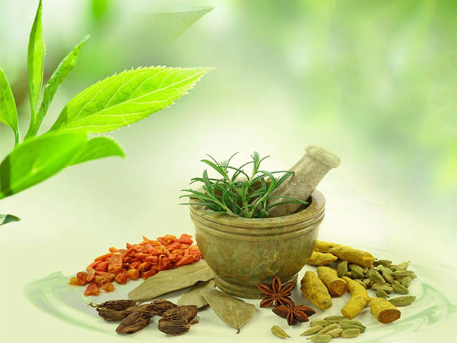 Chiết xuất thảo mộc trong dầu gội sẽ giúp an toàn cho da đầu.