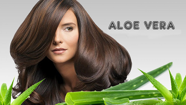 Nước nha đam giúp tóc luôn chắc khỏe