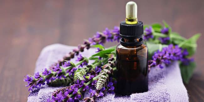 Tinh dầu Oải Hương giúp dưỡng ẩm, kích thích mọc tóc, nuôi dưỡng tóc chắc khỏe, mềm mượt