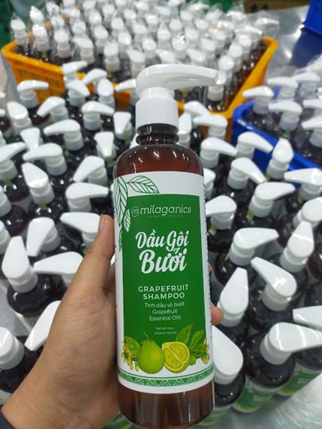 Dầu gội Bưởi tại Labcos với sự kết hợp các hoạt chất thiên nhiên giúp nuôi dưỡng mái tóc mềm mịn.