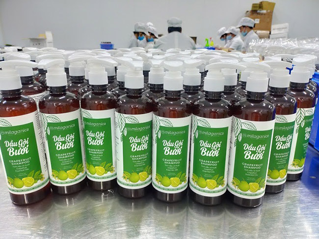 Sản phẩm dầu gội Bưởi tại Labcos với thành phần dưỡng tóc được kiểm chứng hiệu quả.