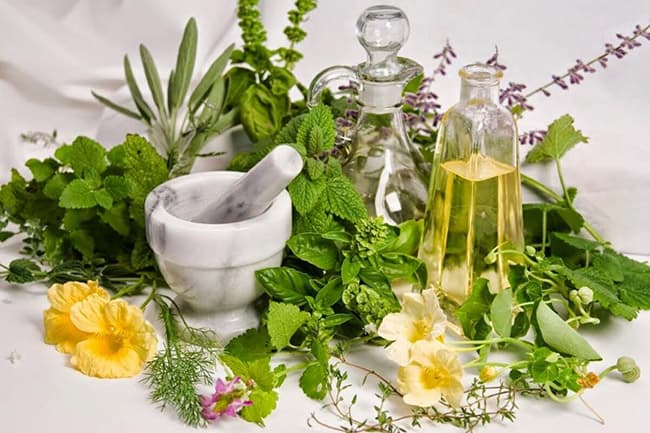 Dầu gội từ thảo dược giúp làm sạch, nuôi dưỡng và bảo vệ mái tóc.
