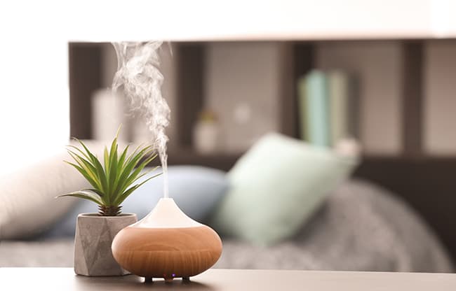 Sử dụng tinh dầu để giảm stress, xua đuổi côn trùng