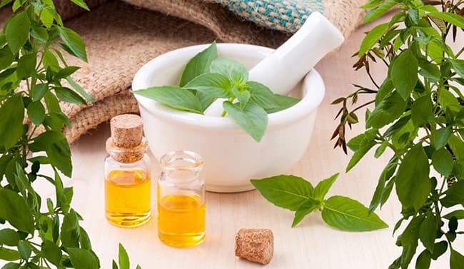Labcos cung cấp tinh dầu nguyên chất, chất lượng