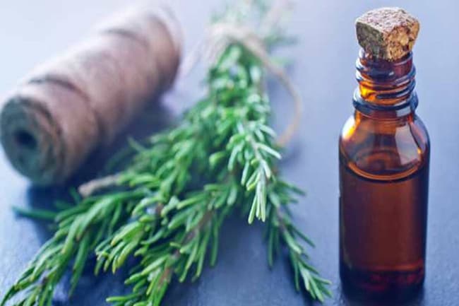 Tinh dầu Hương Thảo trong liệu pháp hương thơm giúp cải thiện sự tỉnh táo
