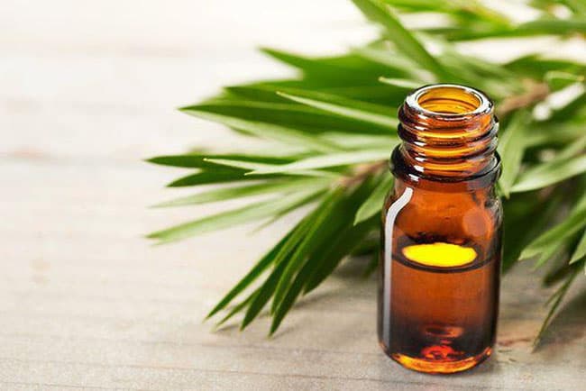 Kem trị mụn tại Labcos được gia công từ các nguyên liệu hoàn toàn từ thiên nhiên, đảm bảo chất lượng.
