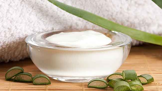 Sữa chua có chứa Axit Lactic, có thể hỗ trợ tẩy tế bào chết trên da một cách hiệu quả.