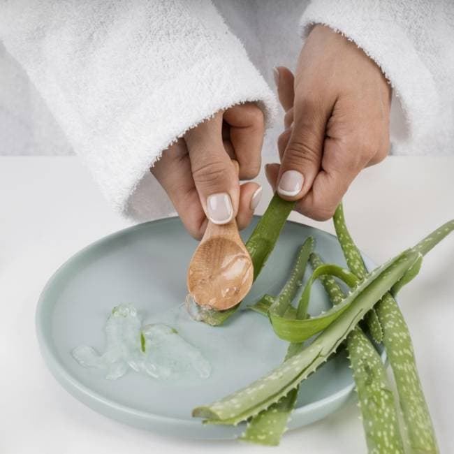 Labcos cung cấp nguyên liệu gel nha đam tự nhiên
