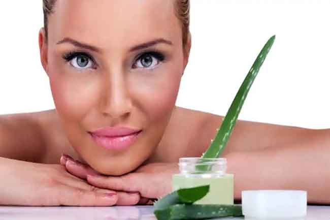 Nha Đam giúp cấp nước, giữ ẩm cho làn da, làm trẻ hóa và sáng da.