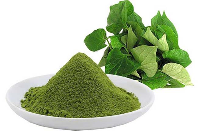 Bột Diếp Cá với đặc tính kháng viêm, hỗ trợ trị mụn trứng cá.
