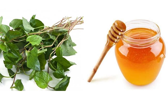 làm mặt nạ với bột diếp cá và mật ong