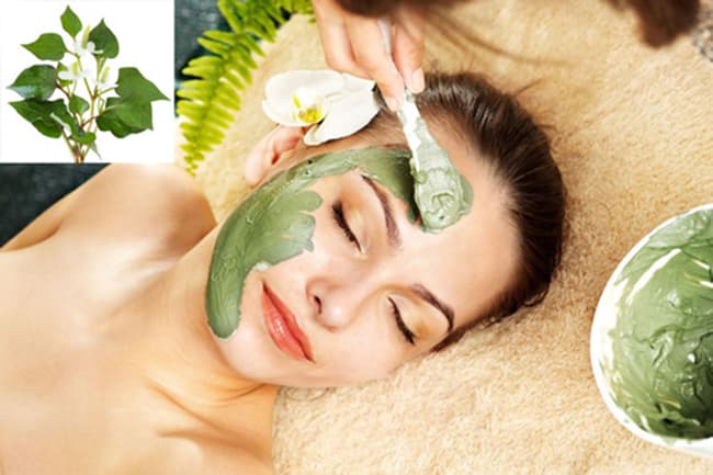 làm đẹp với bột diếp cá