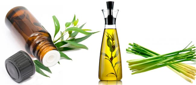 bảo quản tinh dầu Sả Chanh trong các lọ thủy tinh