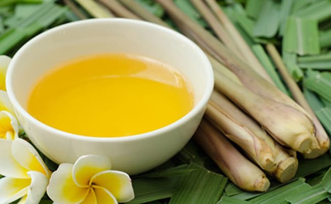 Nguồn tinh dầu của Labcos có đầy đủ chứng nhận COA/CO
