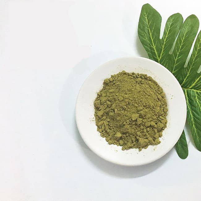 sản xuất bột diếp cá bằng phương pháp sấy lạnh