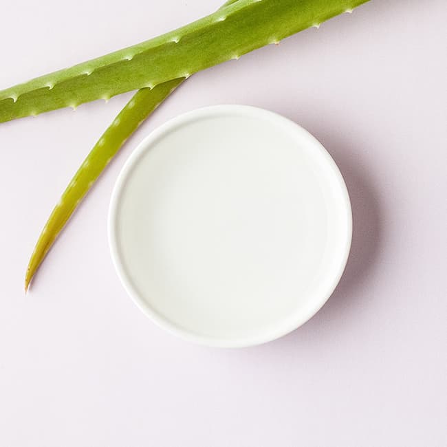 Nha đam giúp dưỡng ẩm cho mọi loại da