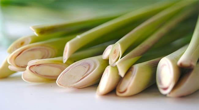 Trong Sả có chứa Citral và Geraniol giúp tóc óng mượt và chắc khỏe.