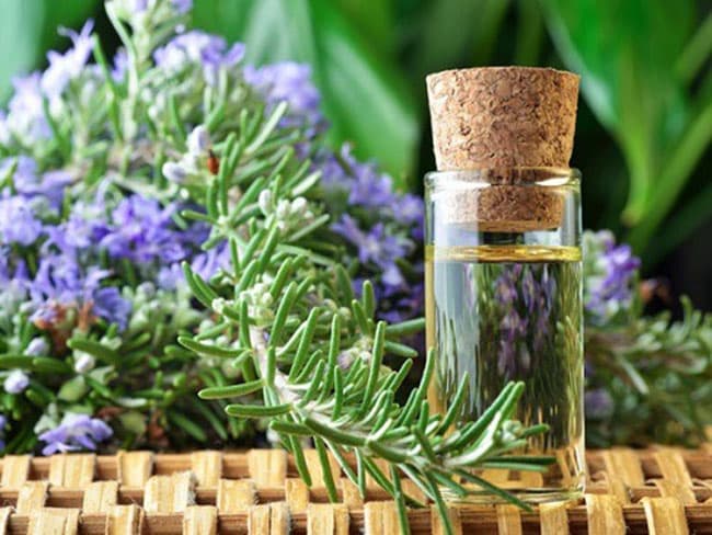 Mọi người thường ưa chuộng sử dụng các chất bảo quản tự nhiên như tinh dầu như Hương Thảo, Cỏ Xạ Hương,...
