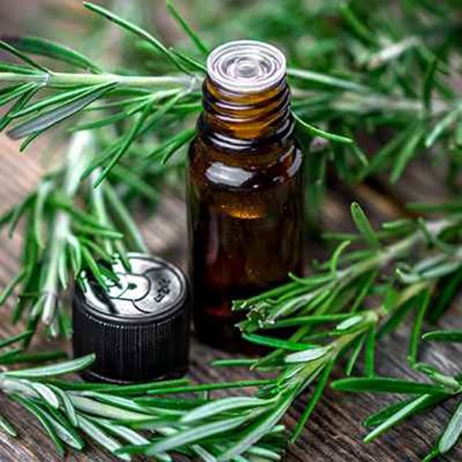 Tinh dầu Hương Thảo hiệu quả cho mọi loại da