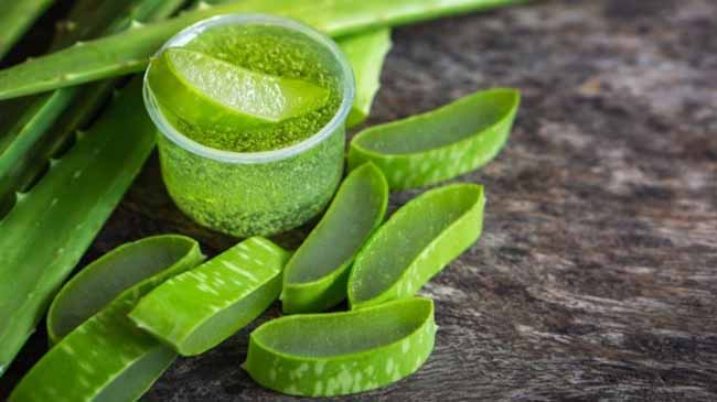 Gel Nha Đam thích hợp để kết hợp mặt nạ trị mụn.