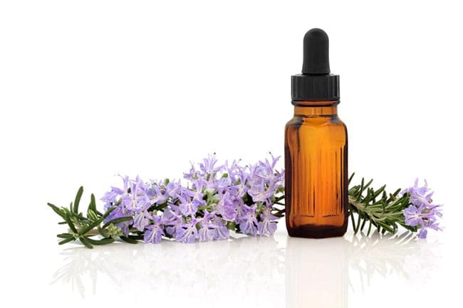 Tinh dầu Hương Thảo giúp kích thích tuần hoàn máu, kích thích miễn dịch, giảm đau, giảm sưng...
