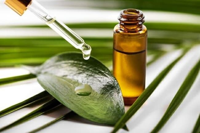 ngoại quan tinh dầu Tràm Trà