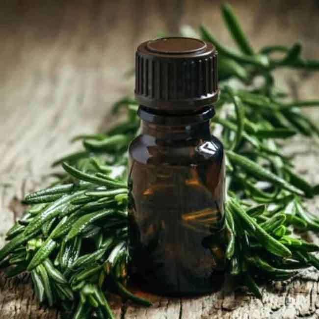 Sản phẩm chứa tinh dầu Tràm Trà có tác dụng kháng khuẩn, kháng viêm