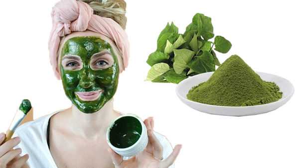 trị mụn bằng mặt nạ từ bột diếp cá