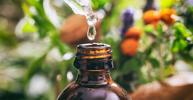Tinh dầu chủ yếu được sử dụng trong ngành công nghiệp thực phẩm để tăng cường khả năng bảo quản thực phẩm và mỹ phẩm để làm đẹp da.